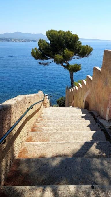 Front De Mer - Emplacement Prise Au Calme - T2 Moderne Et Entierement Climatise - Tout A Pieds Sanary-sur-Mer Exterior photo